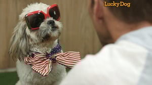 Lucky Dog, Season 2 Episode 10 image