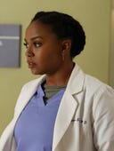 Grey's Anatomy, Season 13 Episode 13 image