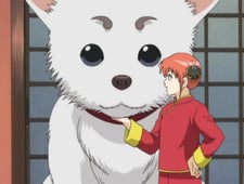 Gintama, Season 1 Episode 10 image