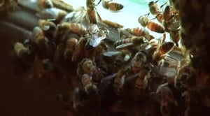 A Haunting, Season 2 Episode 9 image