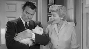 Leave It to Beaver, Season 1 Episode 39 image