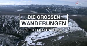 Terra Mater, Season 1 Episode 240 image