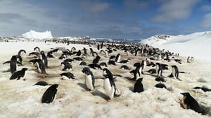 Vice, Season 3 Episode 1 image