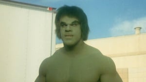 The Incredible Hulk, Season 3 Episode 14 image