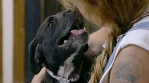 Pit Bulls and Parolees, Season 11 Episode 5 image