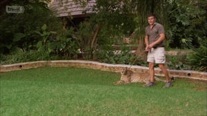 House Hunters International, Season 71 Episode 3 image