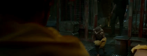 guardians-of-the-galaxy-rocket.gif