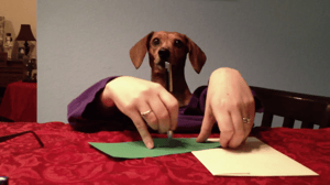 America's Funniest Home Videos, Season 23 Episode 19 image