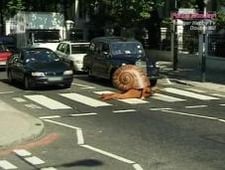 Trigger Happy TV, Season 2 Episode 1 image