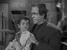 The Munsters, Season 1 Episode 27 image