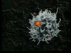 Horizon, Season 26 Episode 21 image