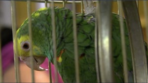 Vecinos, Season 2 Episode 18 image