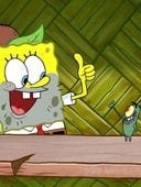 SpongeBob SquarePants, Season 13 Episode 31 image