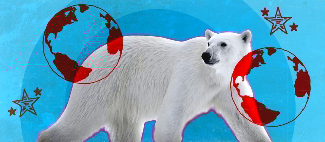 Our Planet, TV Yearbook