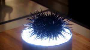 Masterchef, Season 3 Episode 11 image