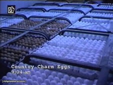 Good Eats, Season 1 Episode 3 image