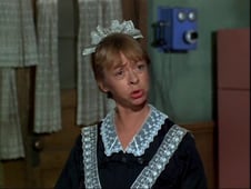 Green Acres, Season 3 Episode 14 image