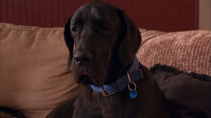It's Me or the Dog, Season 2 Episode 3 image