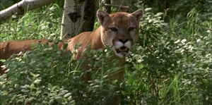 Heartland, Season 3 Episode 6 image