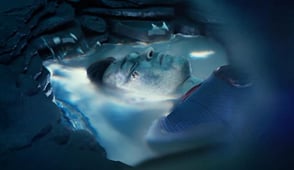 Superman & Lois, Season 4 Episode 2 image