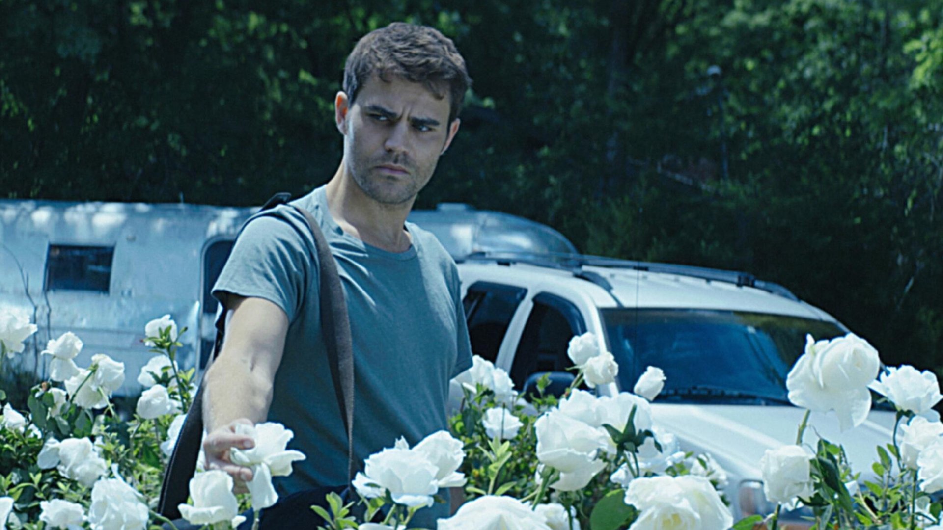 Paul Wesley, Tell Me a Story