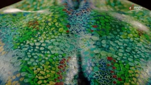 Terra Mater, Season 1 Episode 311 image