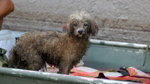 Nature, Season 24 Episode 3 image