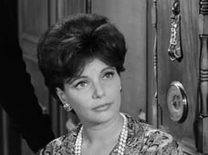 The Fugitive, Season 1 Episode 9 image