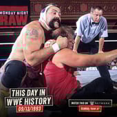 WWE Raw, Season 1 Episode 31 image