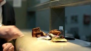 Blunt Talk, Season 2 Episode 8 image