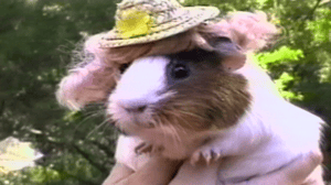 America's Funniest Home Videos, Season 14 Episode 15 image