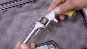 Pawn Stars, Season 6 Episode 22 image