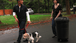 Dog Whisperer with Cesar Millan, Season 4 Episode 18 image