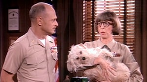 Major Dad, Season 2 Episode 23 image