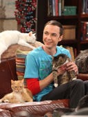 The Big Bang Theory, Season 4 Episode 3 image