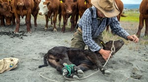 Alaska: The Last Frontier, Season 4 Episode 20 image