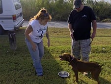 Pit Bulls and Parolees, Season 10 Episode 6 image