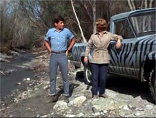 Daktari, Season 1 Episode 14 image