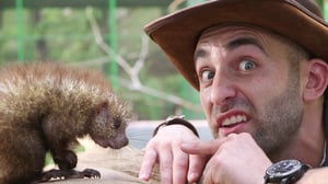 Brave Wilderness, Season 3 Episode 7 image