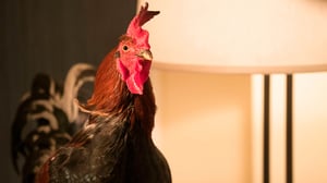 Angie Tribeca, Season 4 Episode 7 image