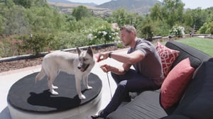 Lucky Dog, Season 5 Episode 2 image