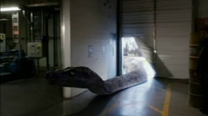 Primeval: New World, Season 1 Episode 2 image