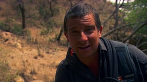 Running Wild with Bear Grylls, Season 4 Episode 1 image