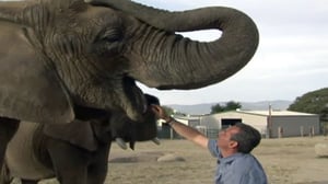 Untamed & Uncut, Season 1 Episode 3 image