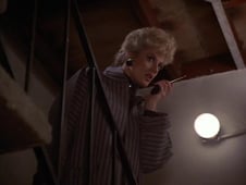 Scarecrow and Mrs. King, Season 1 Episode 15 image