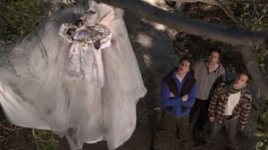 Perfect Couples, Season 1 Episode 9 image
