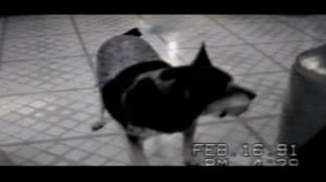 Funniest Pets & People, Season 8 Episode 8 image