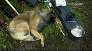 Alaskan Bush People, Season 2 Episode 4 image