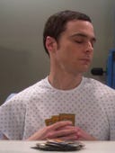 The Big Bang Theory, Season 4 Episode 23 image