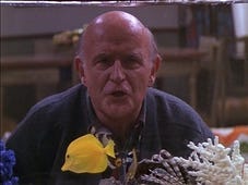 Everybody Loves Raymond, Season 2 Episode 9 image